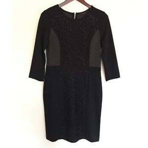 Limited Black Gray Lace Women’s Dress Sleeves Care
